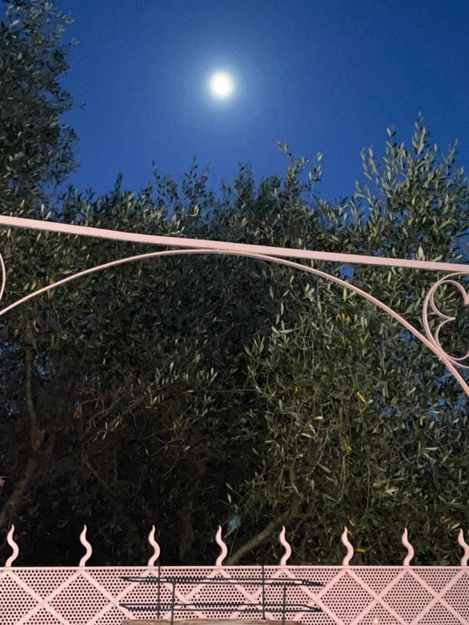 Villa Fieschi Cogorno エクステリア 写真