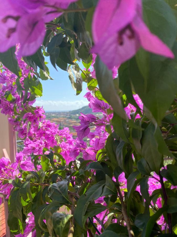 Villa Fieschi Cogorno エクステリア 写真