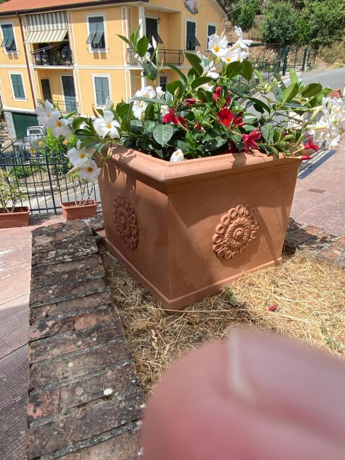 Villa Fieschi Cogorno エクステリア 写真
