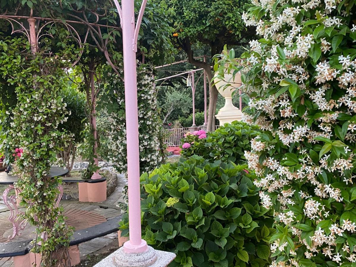 Villa Fieschi Cogorno エクステリア 写真